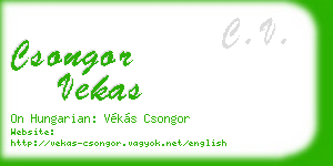 csongor vekas business card
